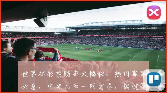 世界杯彩票赔率大揭秘，热门赛事必看，中奖几率一网打尽，错过等一年