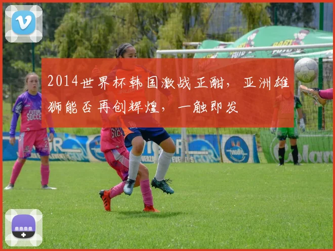 2014世界杯韩国激战正酣，亚洲雄狮能否再创辉煌，一触即发