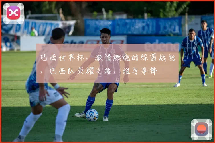 巴西世界杯，激情燃烧的绿茵战场，巴西队荣耀之路，谁与争锋