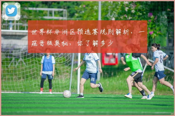 世界杯非洲区预选赛规则解析，一窥晋级奥秘，你了解多少
