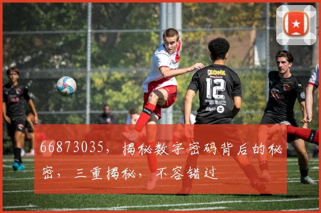66873035，揭秘数字密码背后的秘密，三重揭秘，不容错过