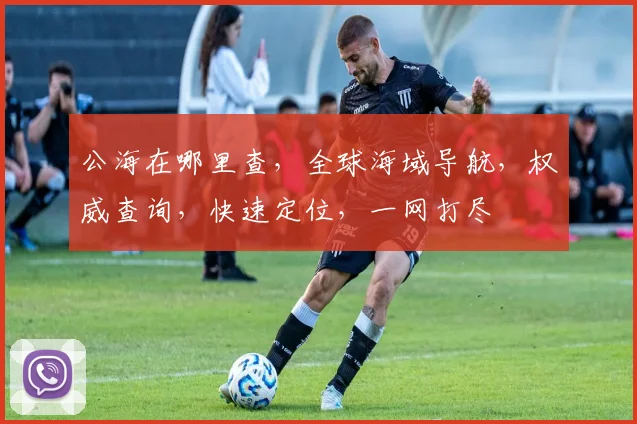 公海在哪里查，全球海域导航，权威查询，快速定位，一网打尽